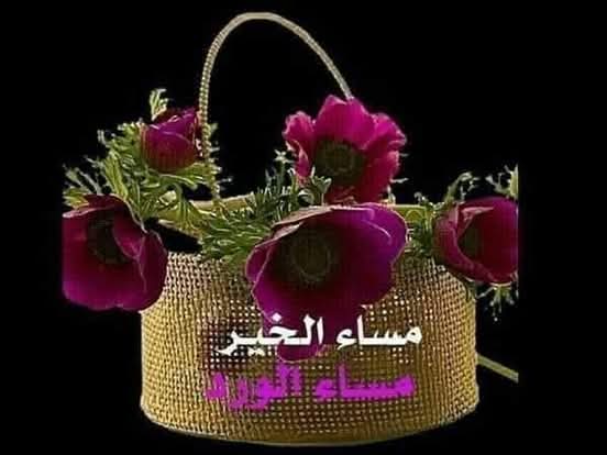 MOSTFAALI tweet media