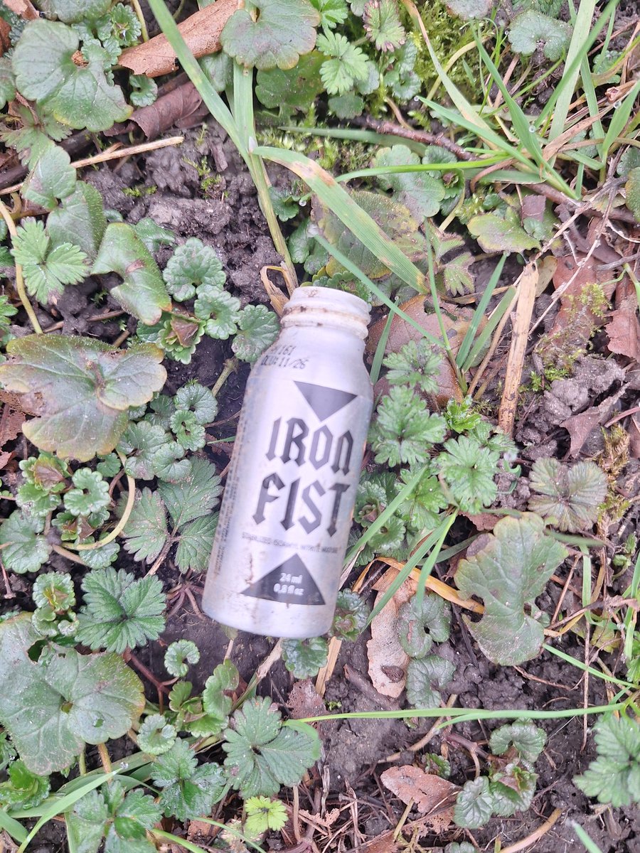 Ik weet niet wat jullie allemaal uitspoken in het bos...?