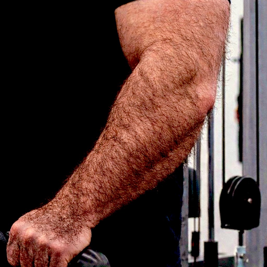 aidaddybears tweet media