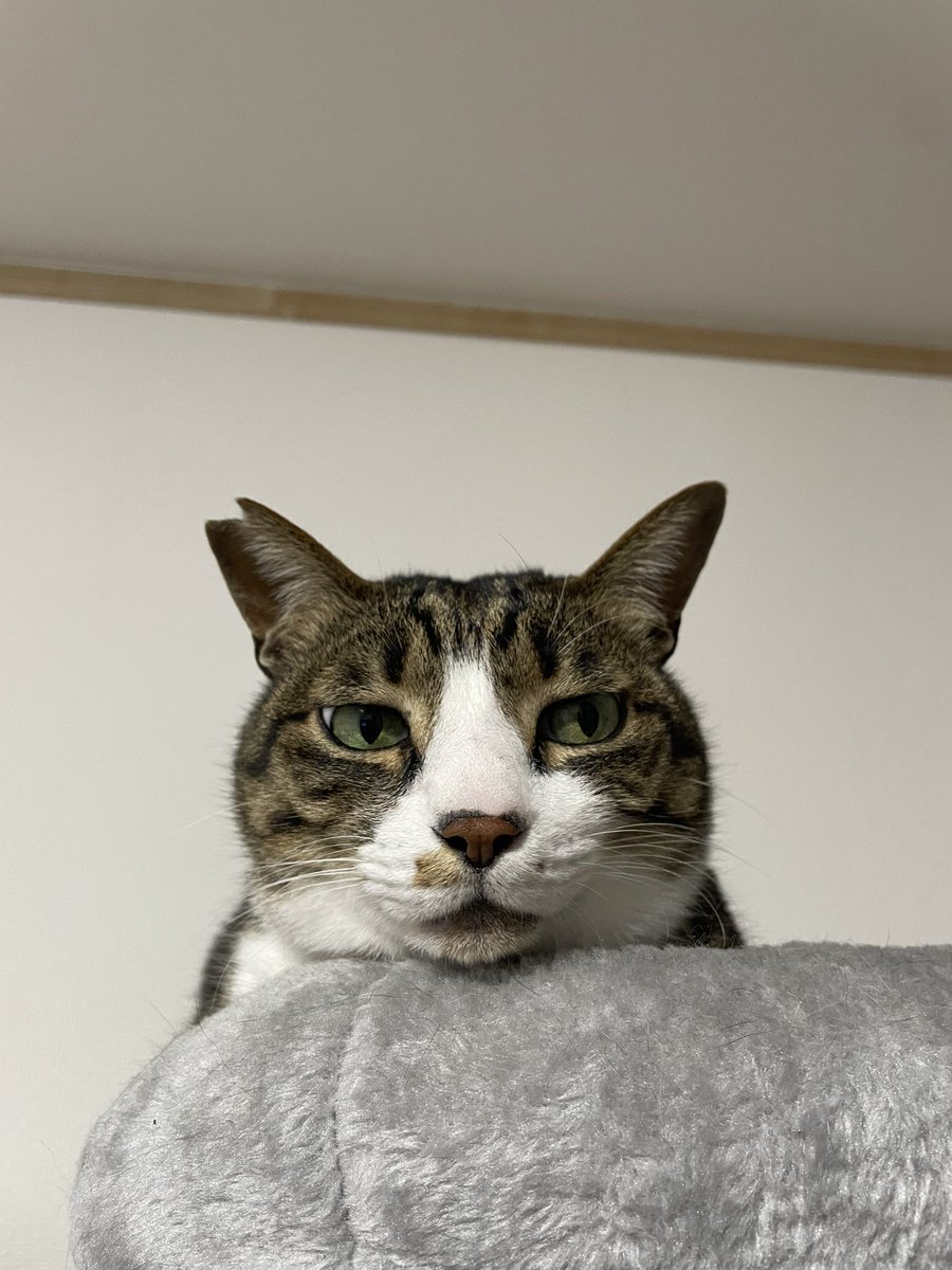 もれそう tweet media