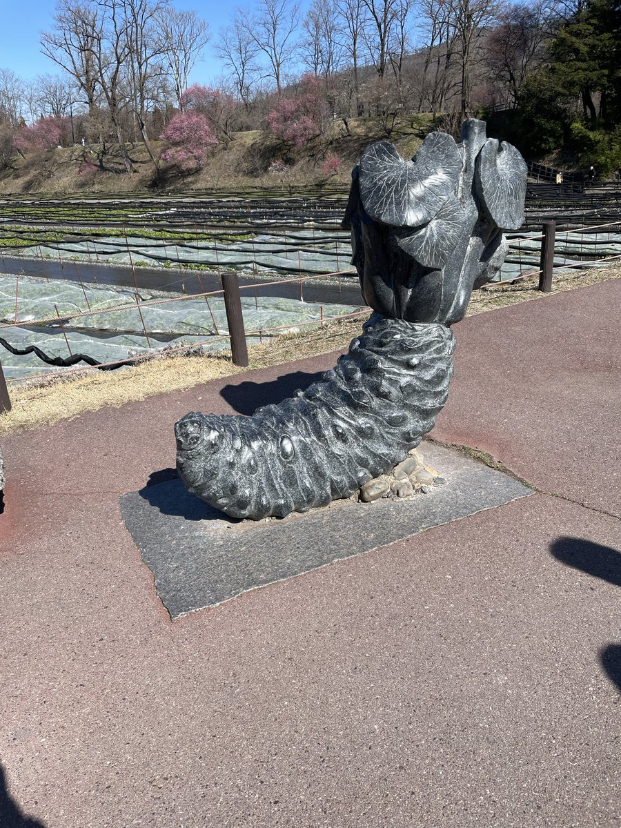 AponR6s's tweet photo. 長野でした https://t.co/wTYfJqBANu