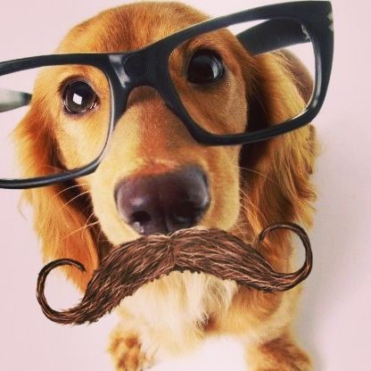 Jayden of shedtwt tweet media