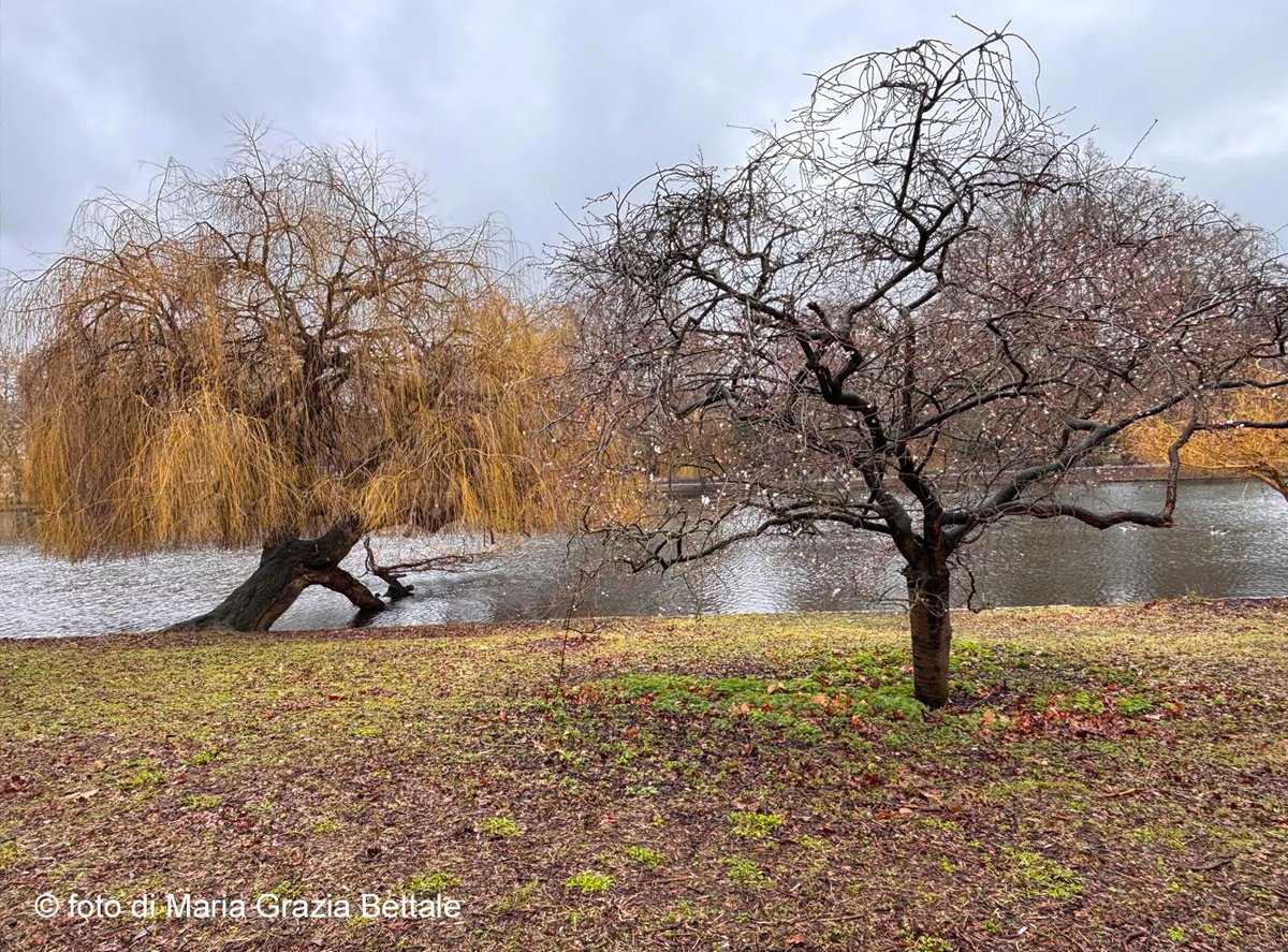IL CSV Informa
“Si deve accompagnare la crescita
di una creatura che viene al mondo”
Giorgio Sala

leggi l'editoriale:
csv-vicenza.org/web/2026/03/08…

#volontariatovicentino 
#lacomunitàsiracconta 
#csvdivicenza