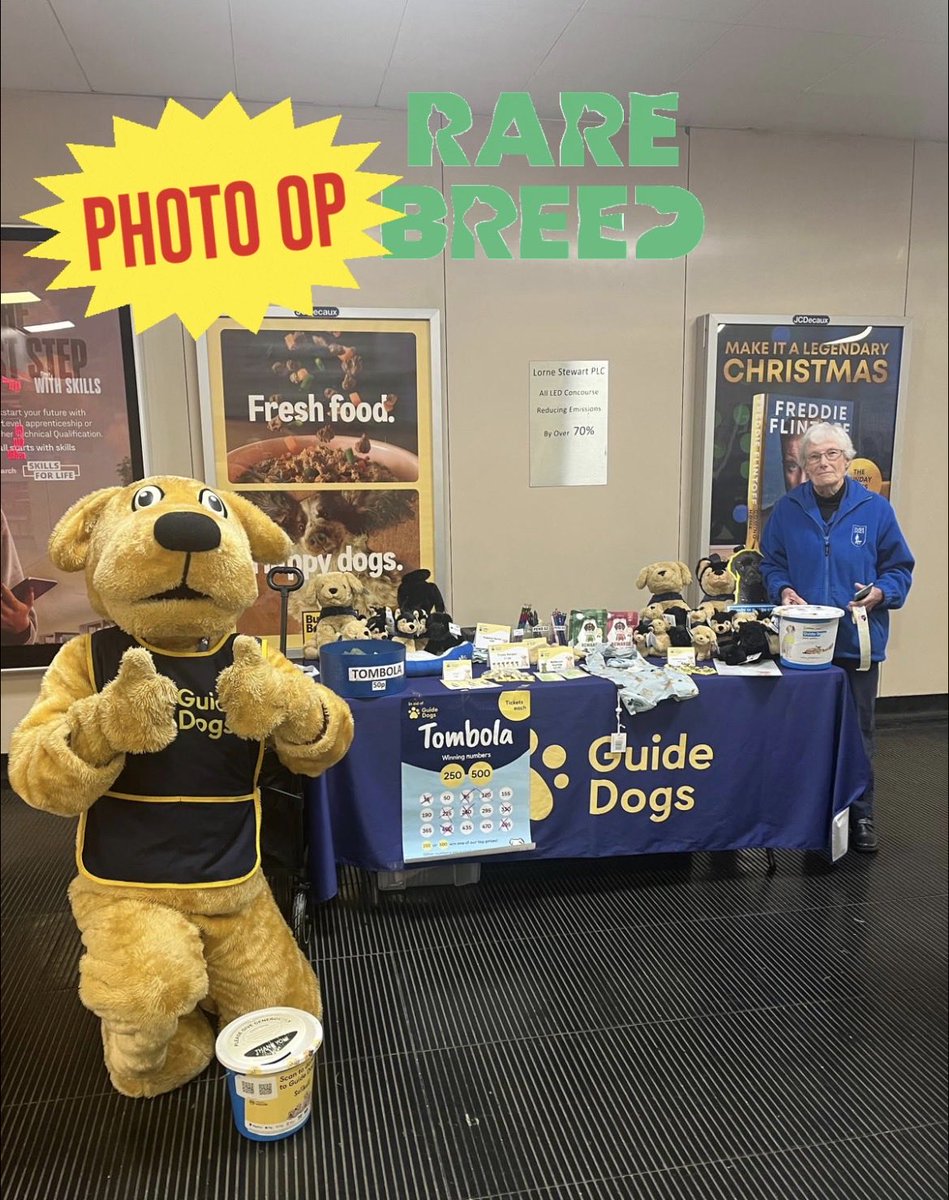 Solihull Guide Dogs tweet media