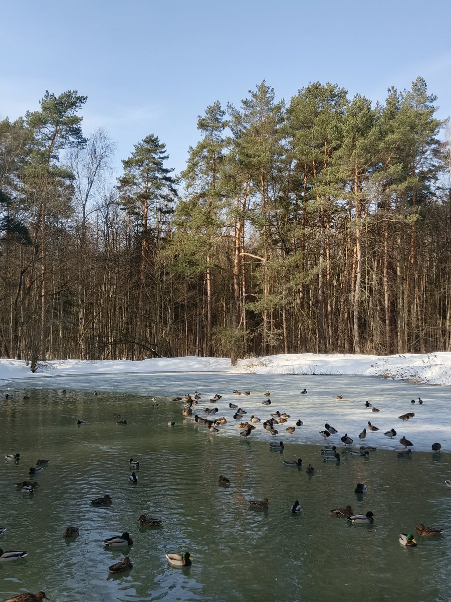 ms. basya gnyschevich tweet media