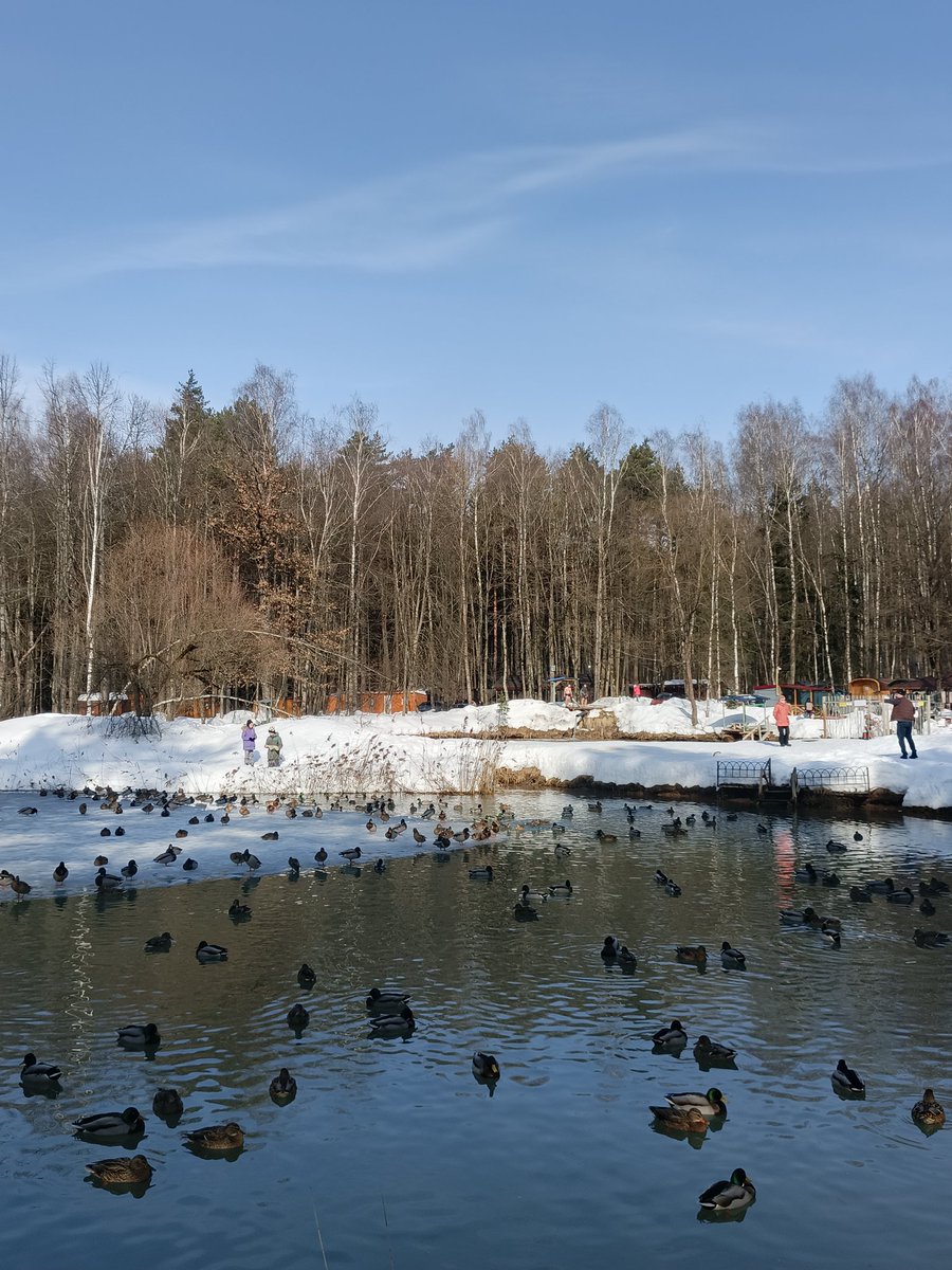 ms. basya gnyschevich tweet media