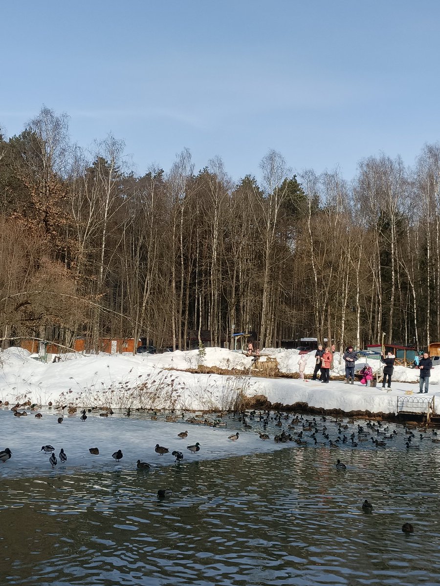 ms. basya gnyschevich tweet media