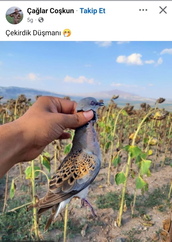 Deacon Frost ރ tweet media