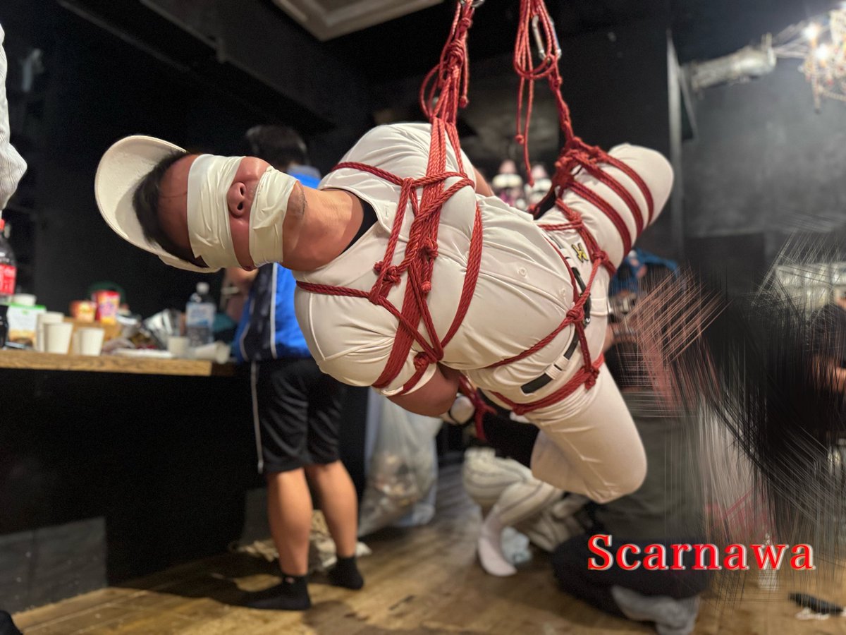 スカー Scar tweet media