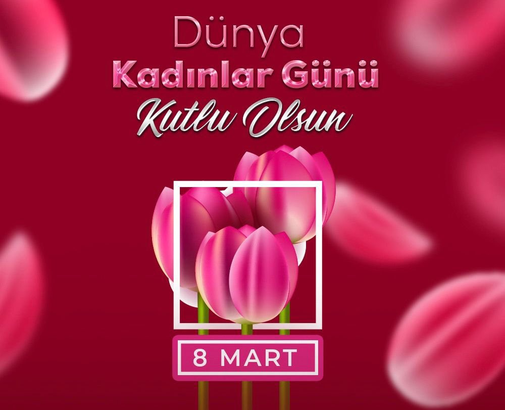 Metin BAYDİLLİ tweet media