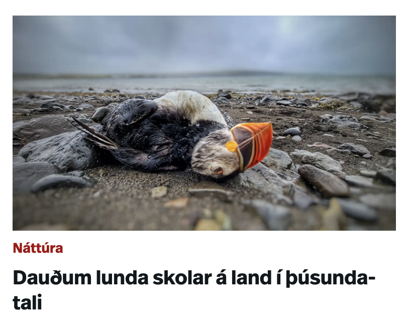 Stefán Pálsson tweet media