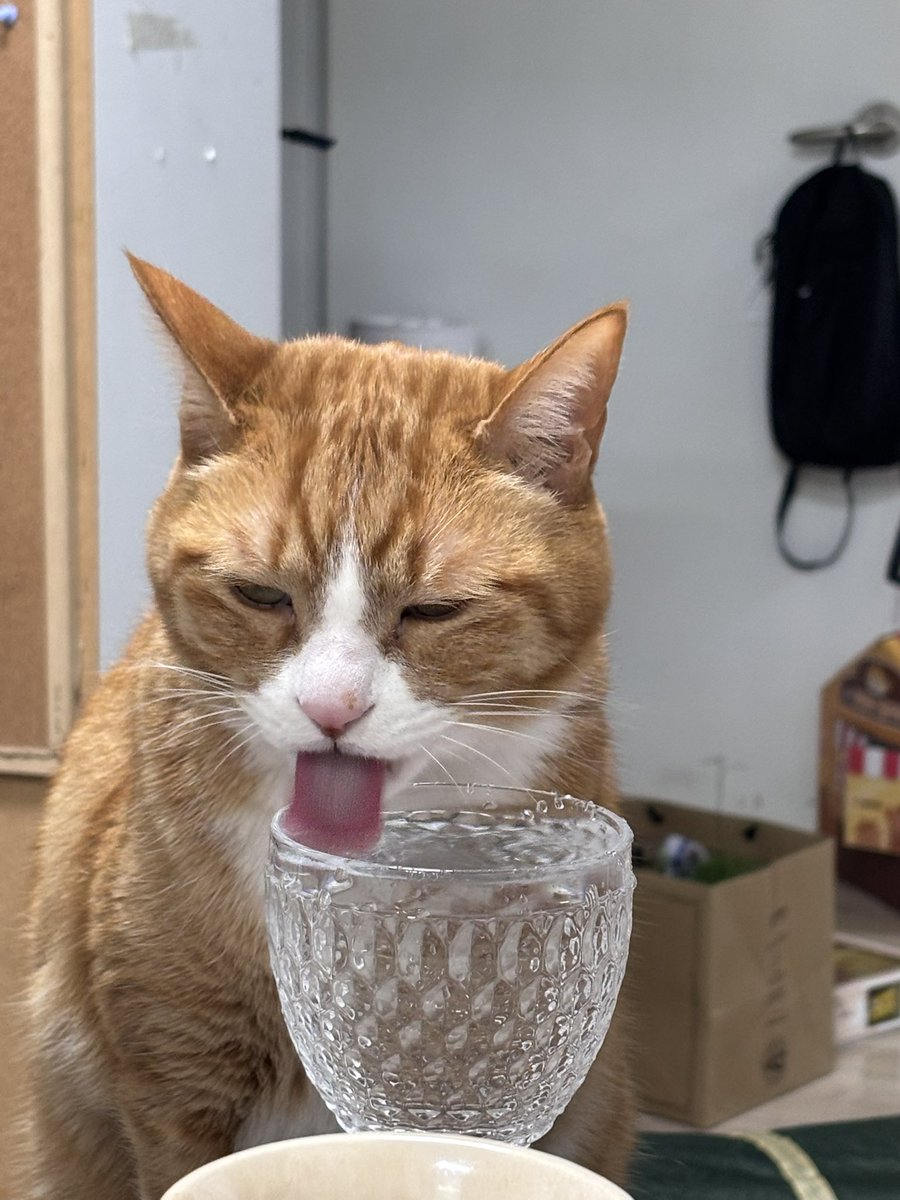 김민국 tweet media