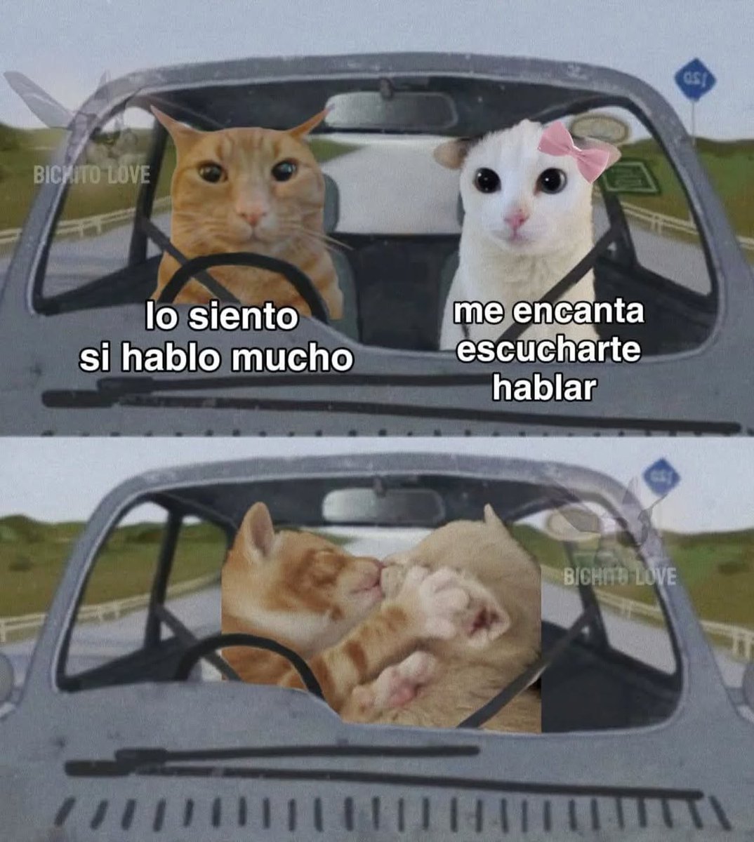 Ana_LaPatata (@ymuchosmemes) on Twitter photo 