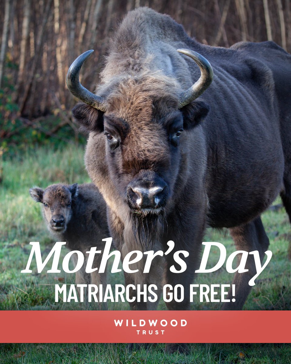 Wildwood Kent tweet media