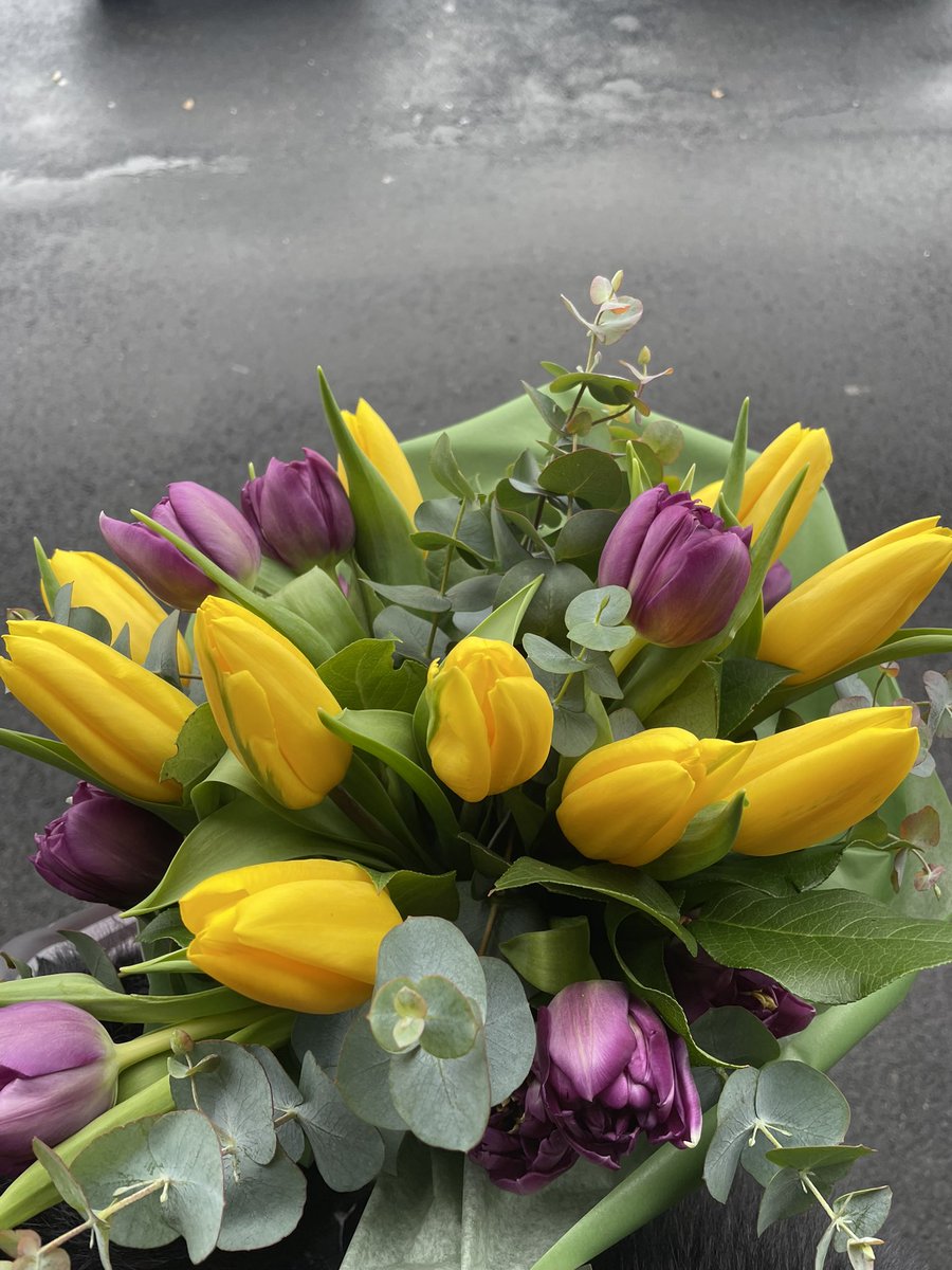 𝘦𝘭𝘪𝘴𝘢 tweet media