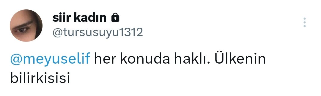 Rt edemedim ama kenarda kalsın da istemedim......