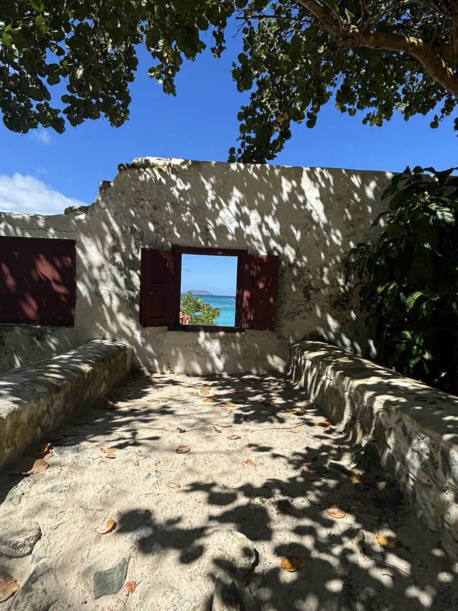 OJQ3000's tweet photo. St. John 🤩🏝️🥂#stjohn #usvirginisland #cinnamonbay https://t.co/ObRGFnDHVR