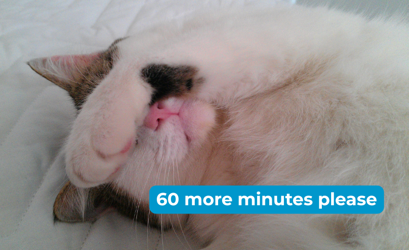 EasyTimeClock's tweet image. Don’t forget to spring forward this weekend. ☕😴

#daylightsavingtime #easytimeclock