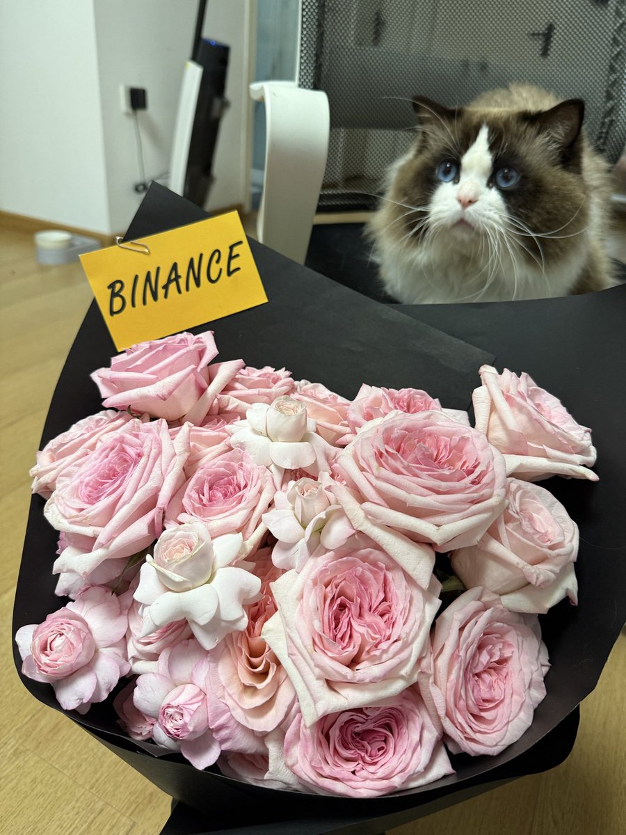 草莓软糖 tweet media