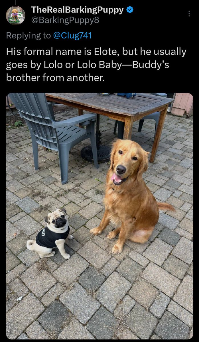 randomartz 💥🍻 tweet media