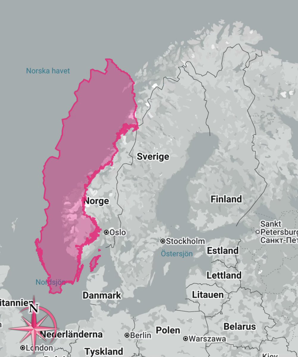 Srboljub Bošnjak tweet media