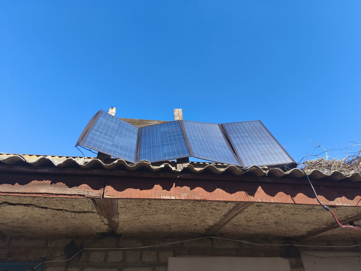 Тернистий Зореліт 😺 tweet media