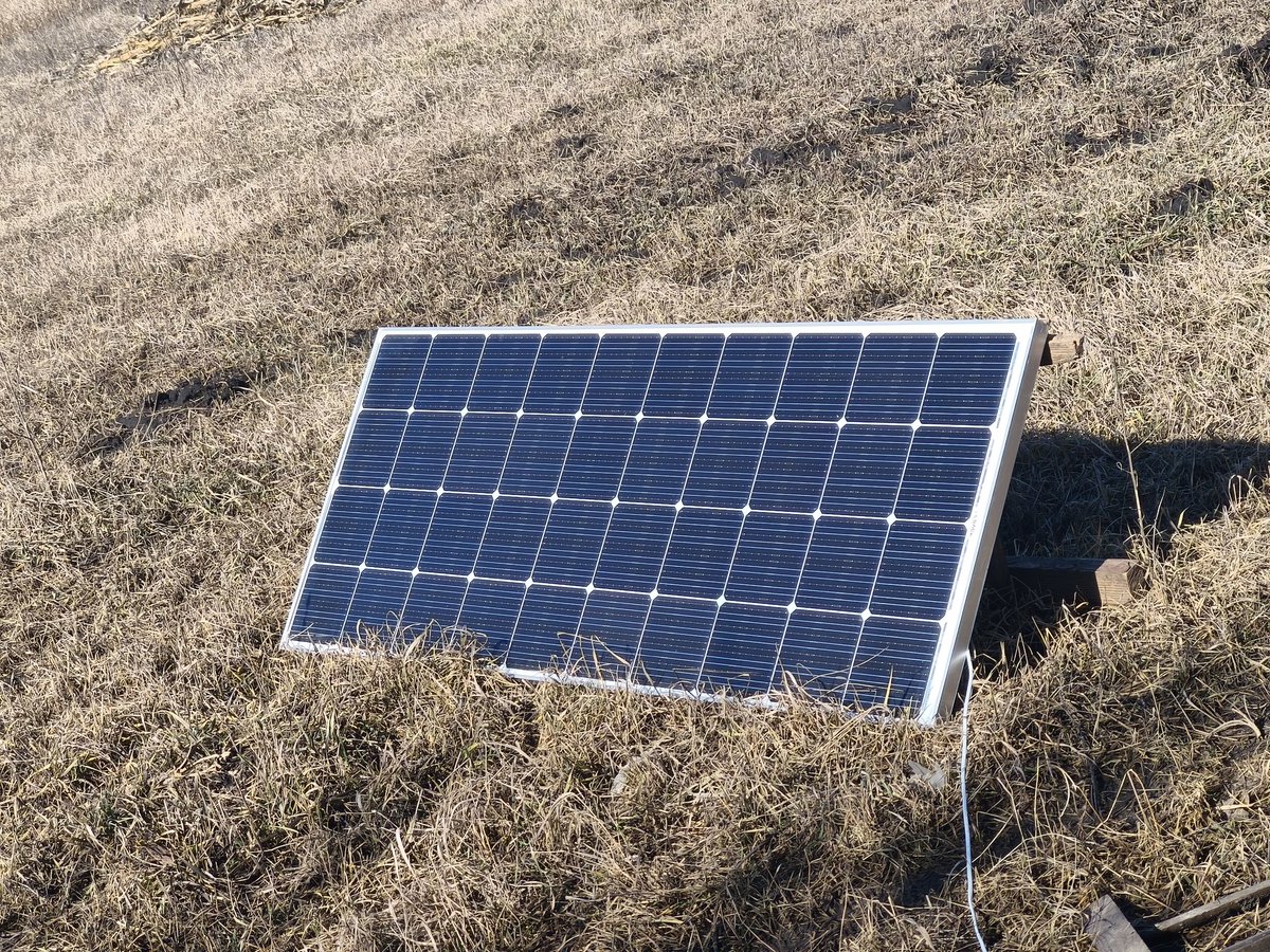 Тернистий Зореліт 😺 tweet media