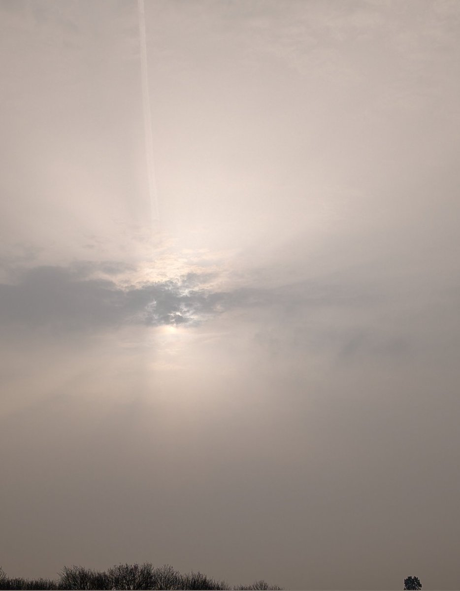 Lin Cork 🏴󠁧󠁢󠁥󠁮󠁧󠁿 tweet media