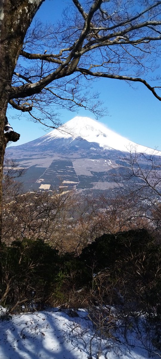 yyyouzo's tweet photo. やっぱり雪化粧の富士山は良いなあ。何度見ても魅せられる。注目しちゃう。やっぱり登ってみるかなあ夏の富士山。あんまり混んでると引いちゃうんだよなあ。 https://t.co/mKSaQY350Q