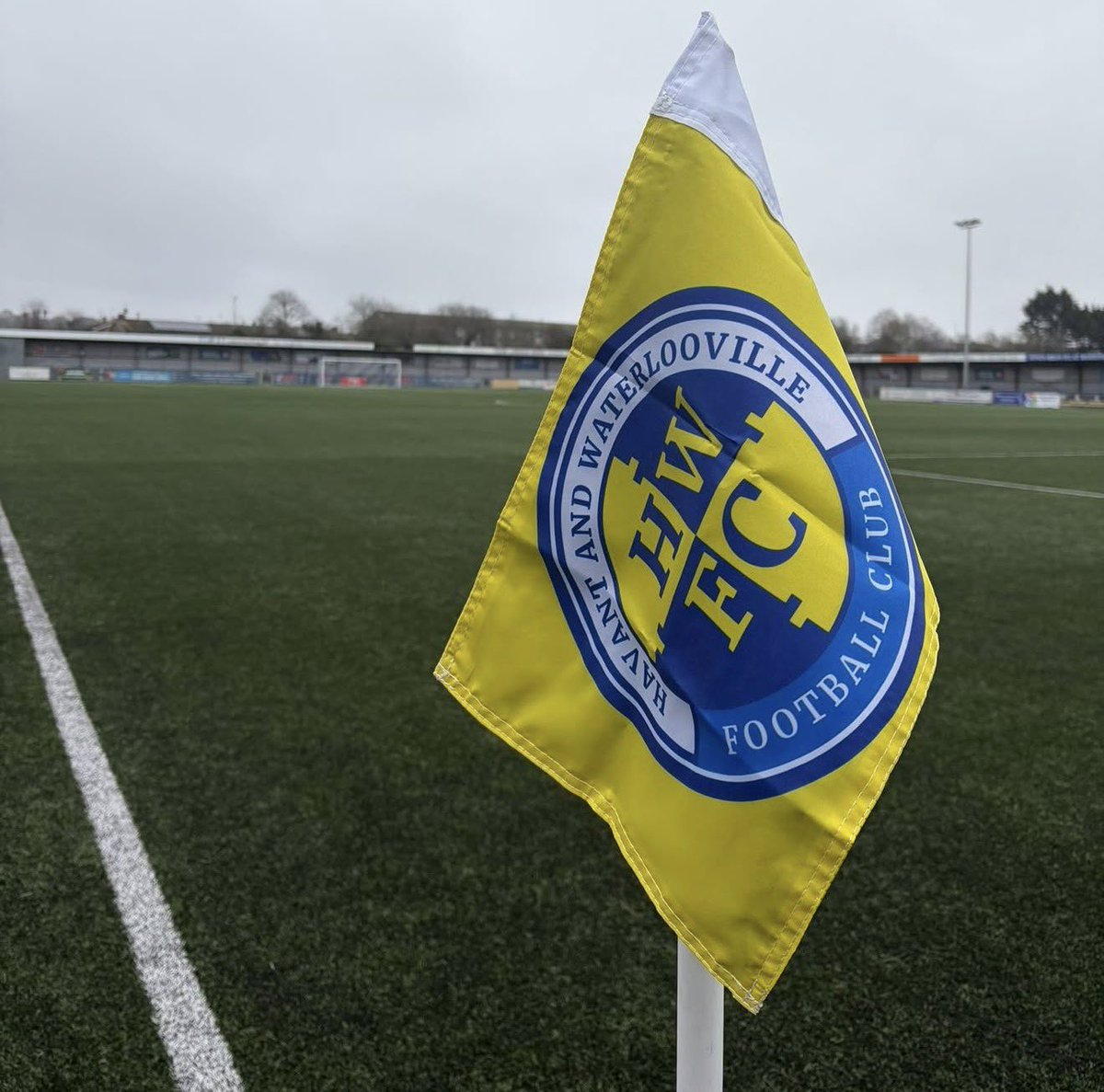 TheFlagManltd tweet media