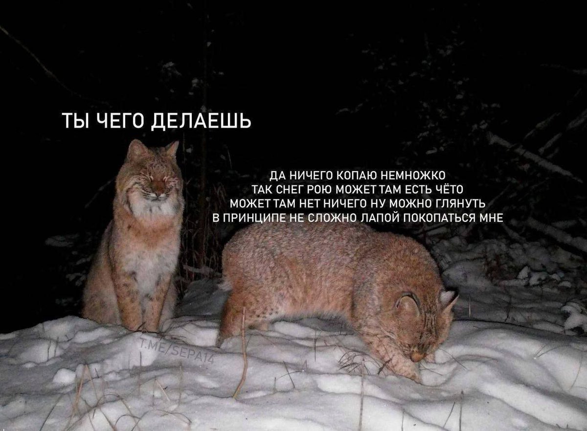 Nickro666's tweet photo. https://t.co/oUuIMw59Dh