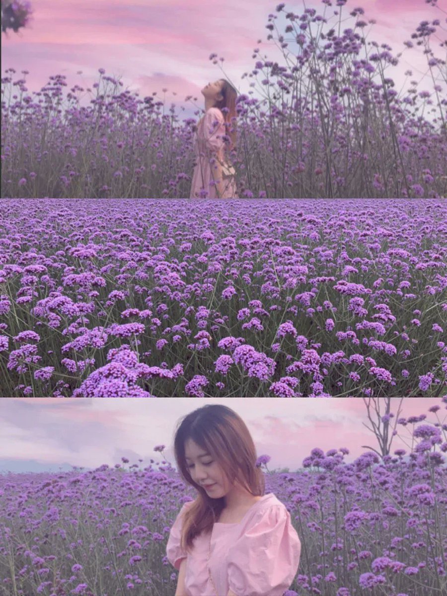 Atrhur Heyas. tweet media