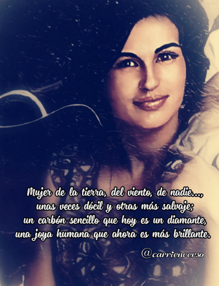 Revista Grada tweet media