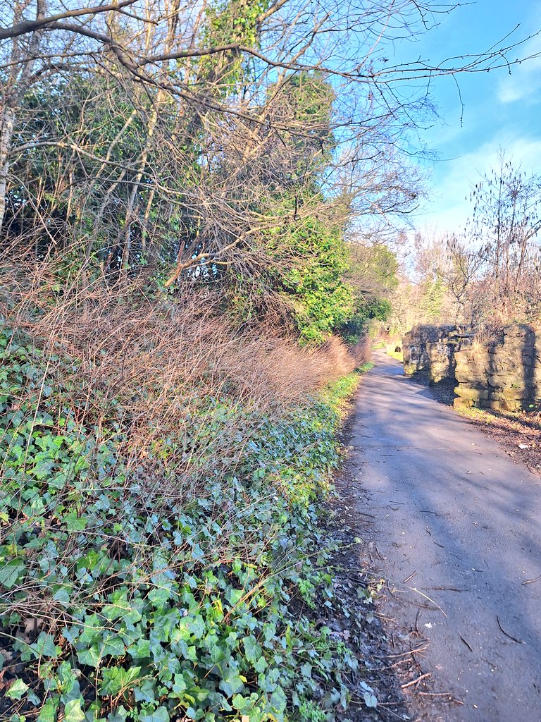 Water of Leith Conservation Trust tweet media