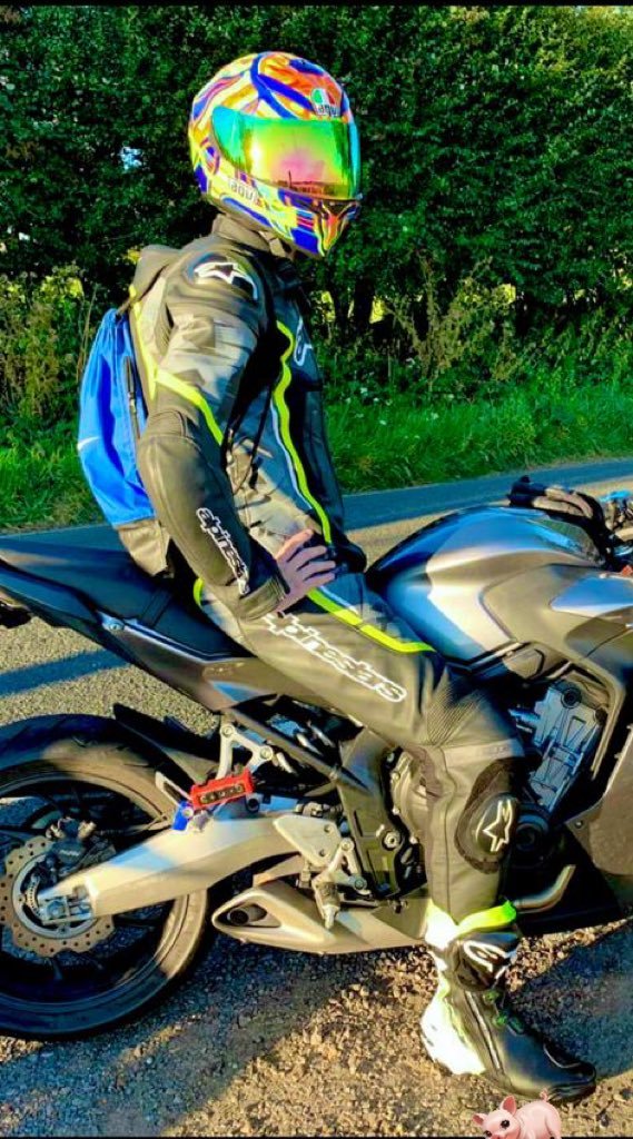 Alpha Adonis backup tweet media