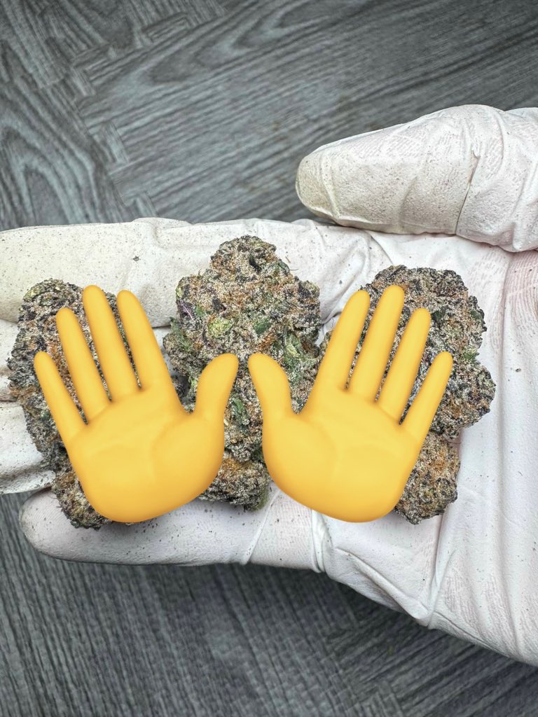 𝙈𝘼𝙔 𝘽𝘼𝘾𝙃 𝟮𝙣𝙙 tweet media