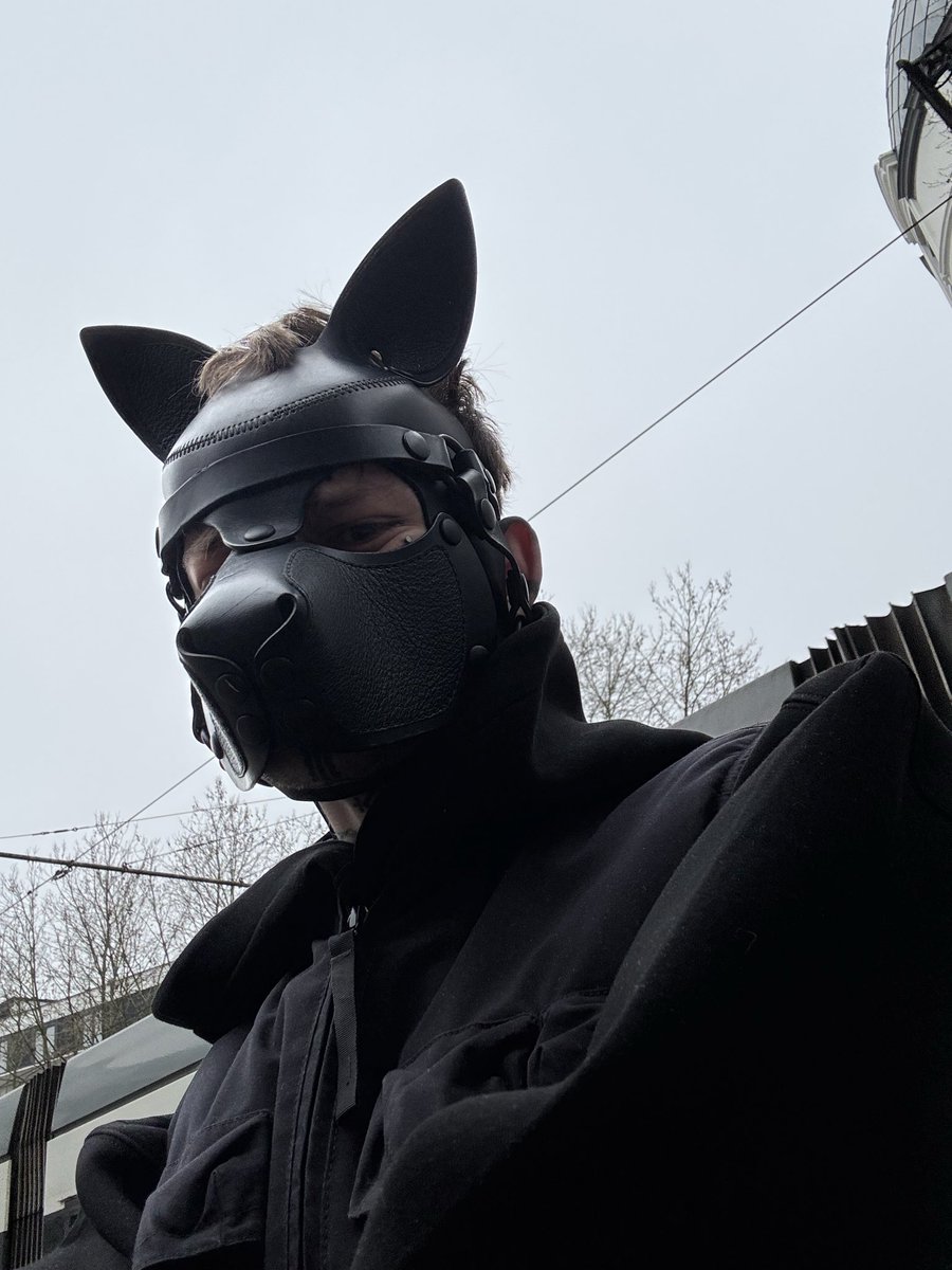 Miauw <a href="/armyofmen/">ARMY OF MEN</a>