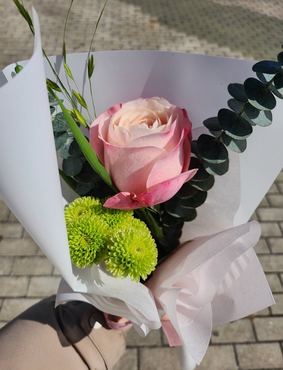 푼수코왕만두 tweet media