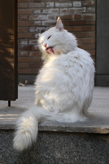 Susan Hansen tweet media