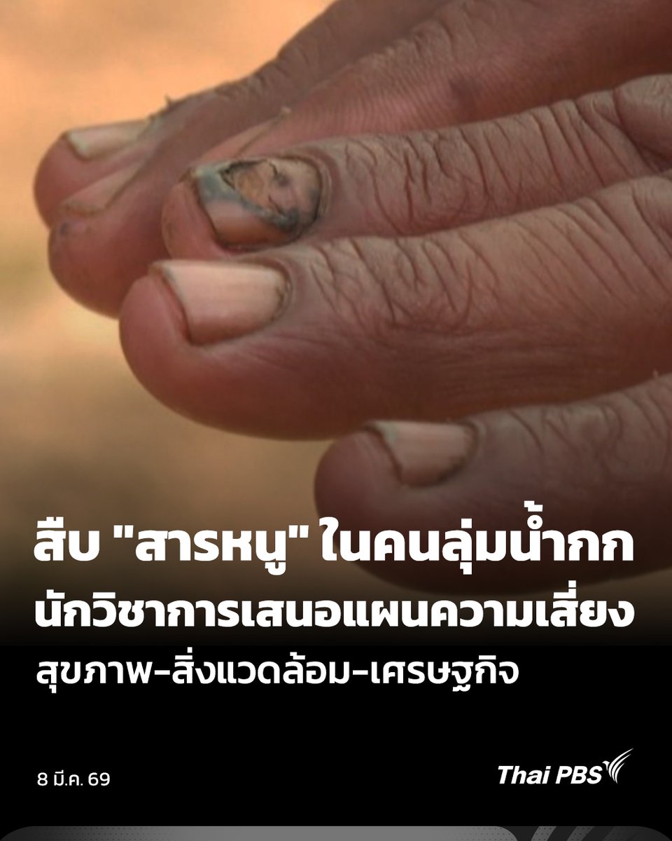 Thai PBS tweet media