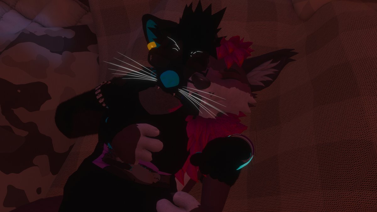 dashy 🔜 FWA, AC?, MP tweet media