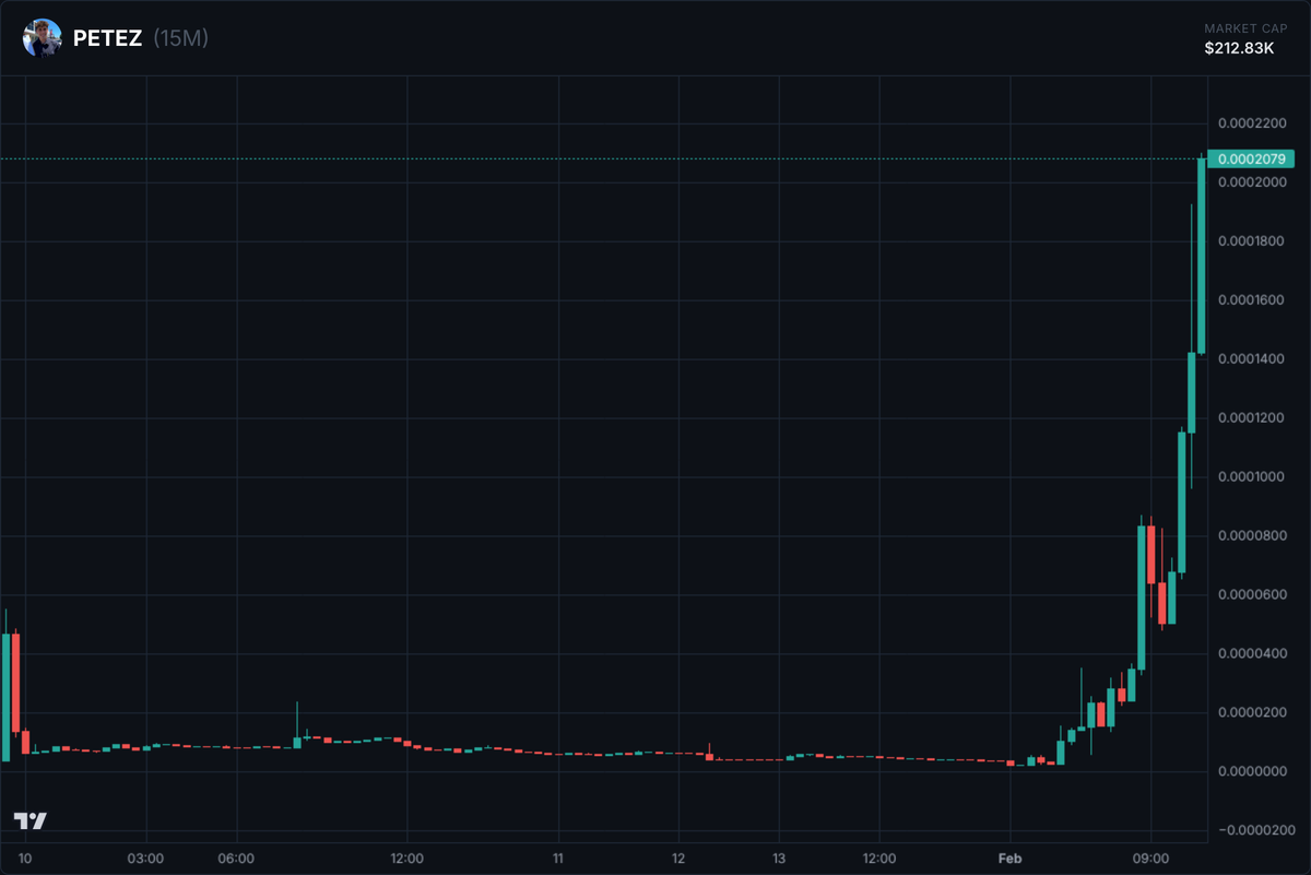 🚨 Whale alert: 11,153,095.8 $PETEZ tokens accuired for 25 $SOL 
Token address: 472KhZ8uJn1GKd3uPTh16s2vMA9DkhGXYLWYyynipump