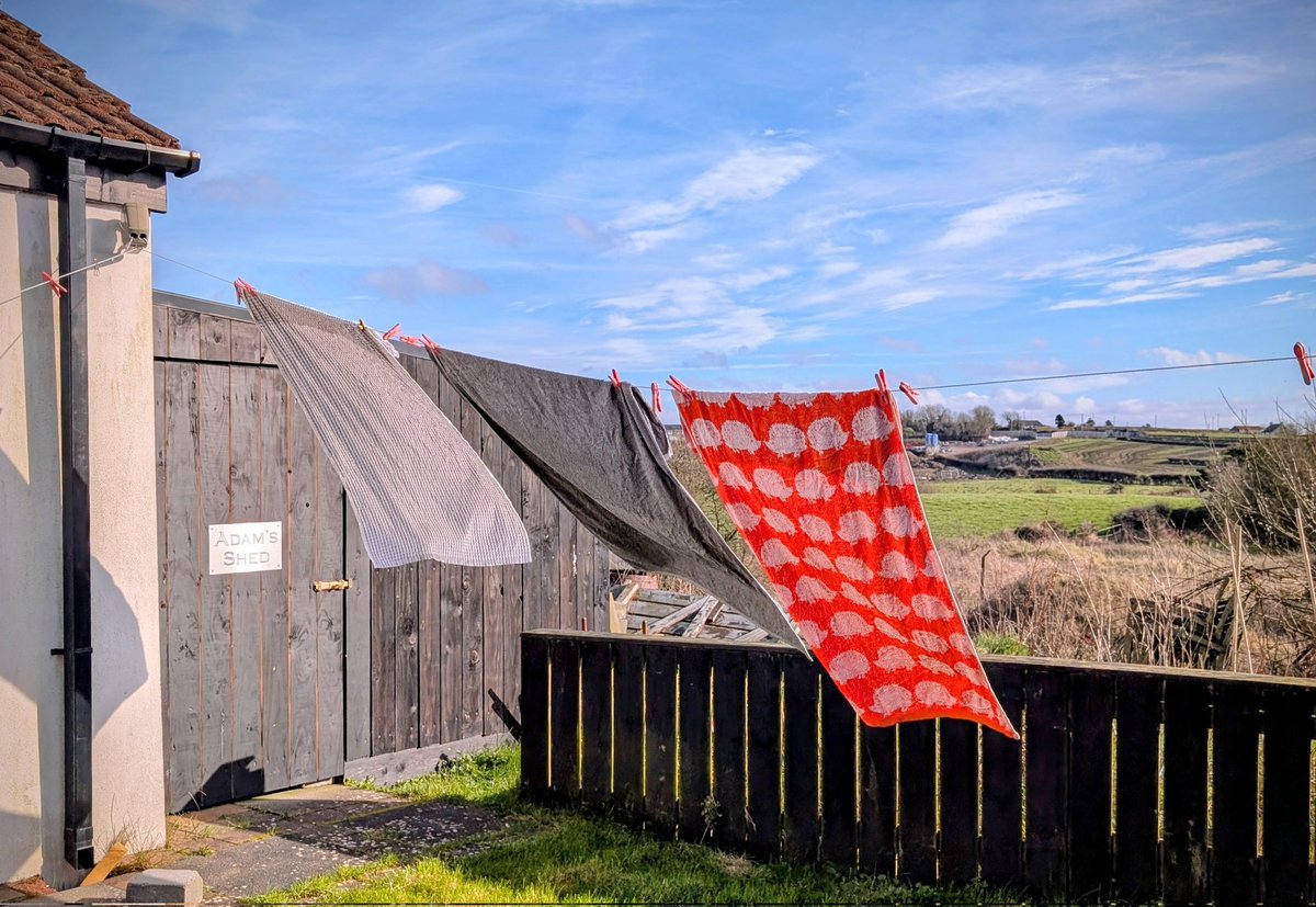 Anne Kelly ⛔NO DMs⛔ unless I know or follow you. tweet media