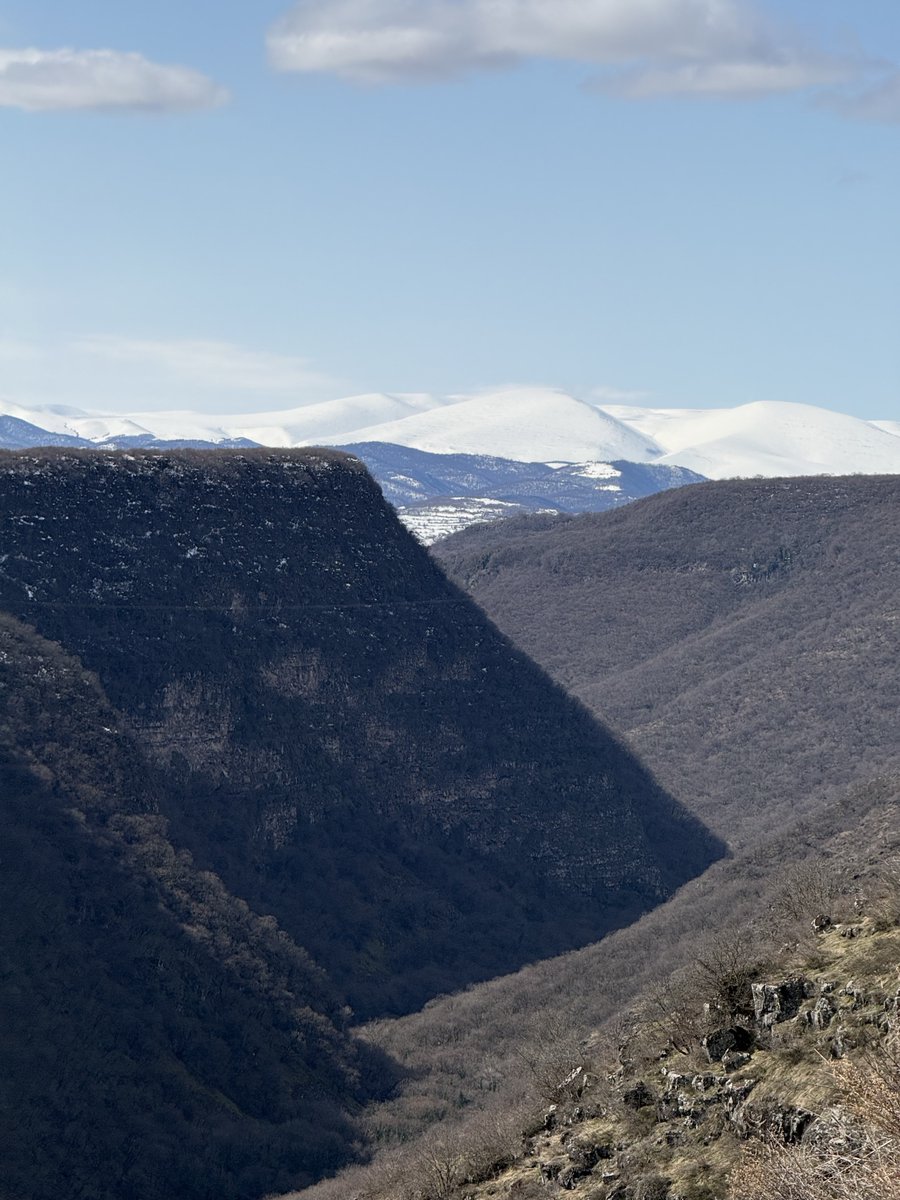 David Harrison tweet media