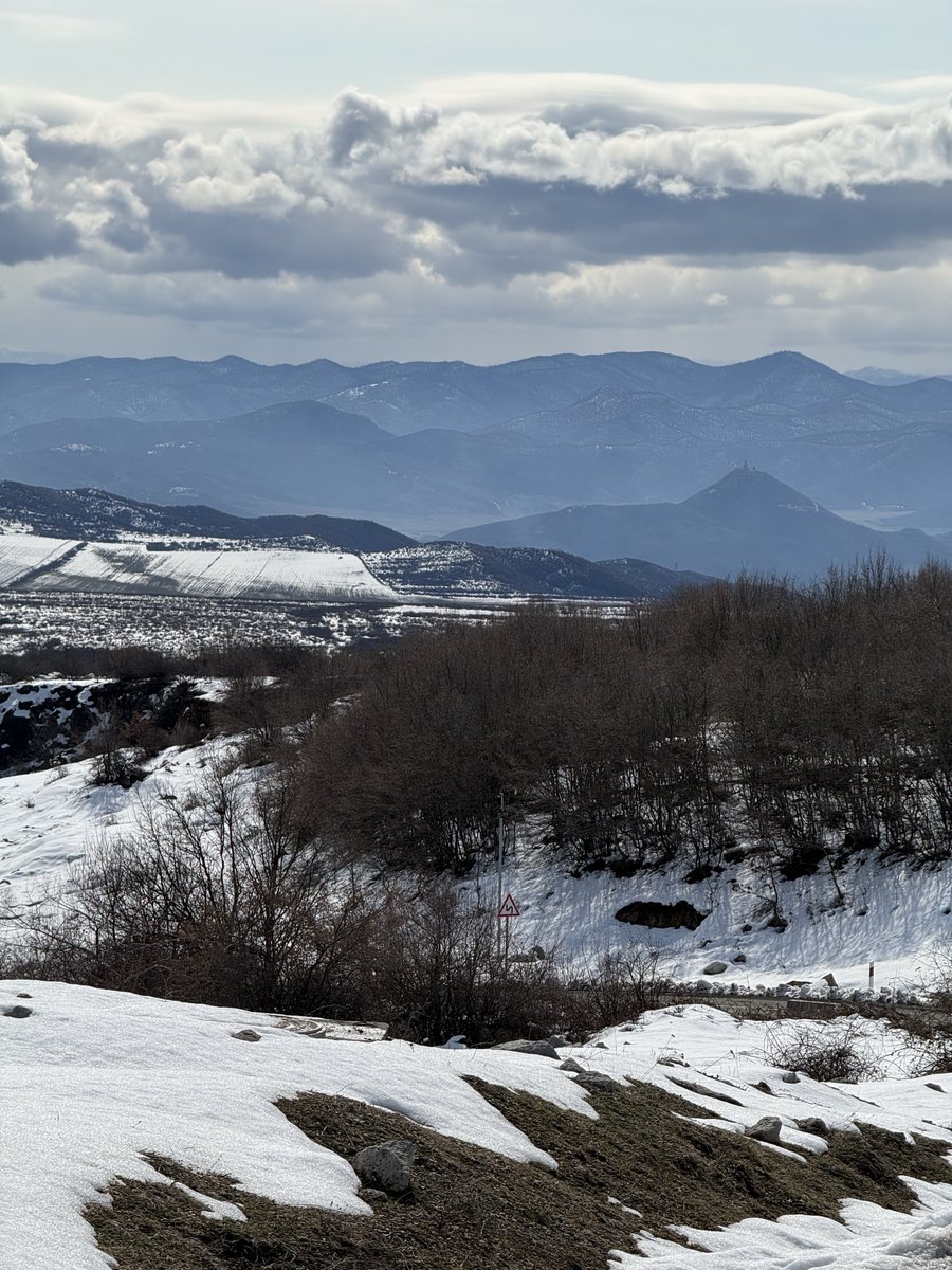 David Harrison tweet media