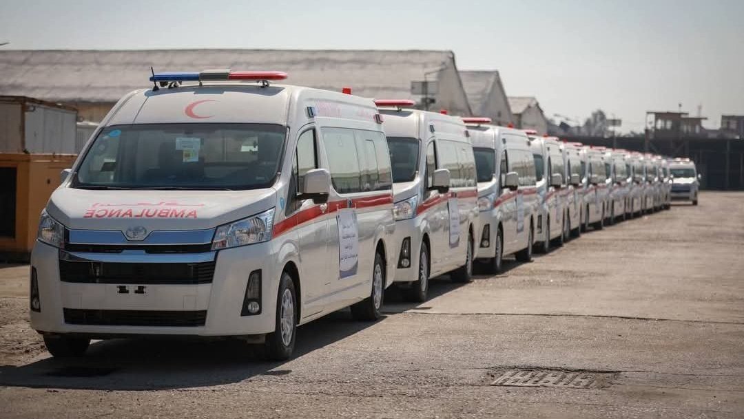 حيدر tweet media