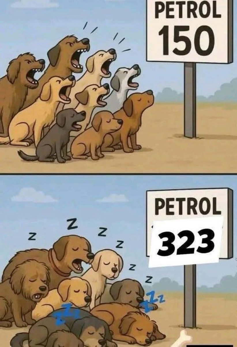 AZIM033PTI's tweet photo. @SHABAZGIL @JunaidA19048297 Barking dog never bite https://t.co/6izQnxOF1x