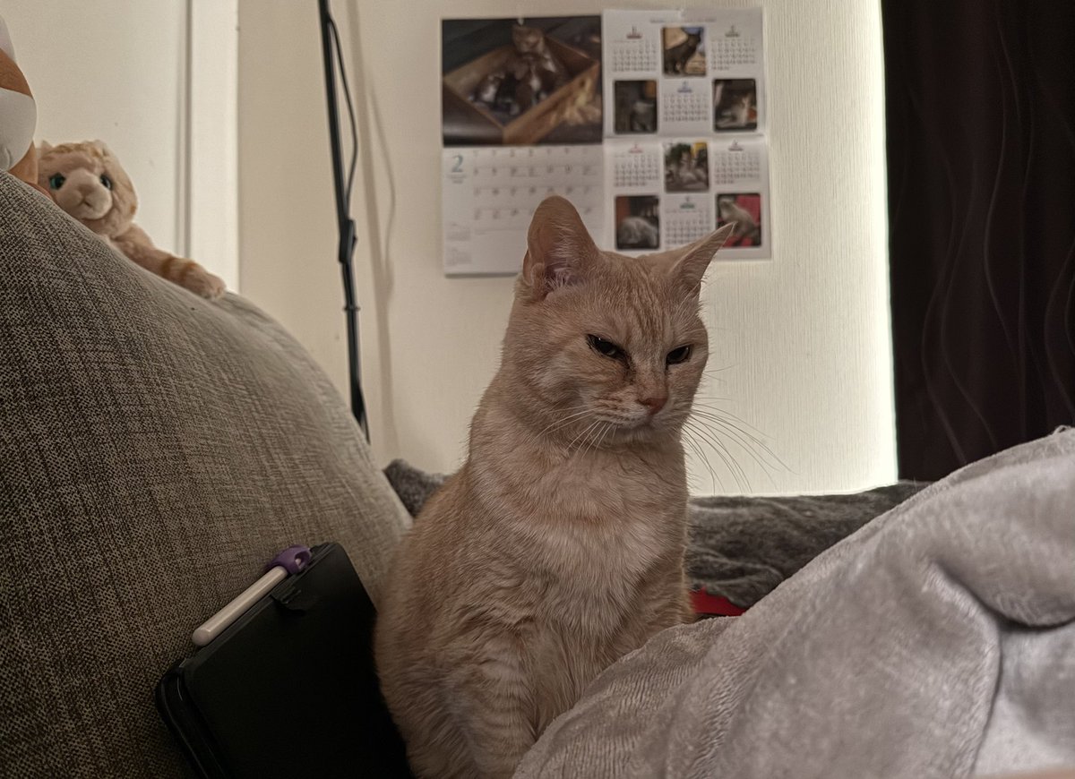 桜井のりお@僕ヤバ13巻1/8発売＆劇場版2/13公開 tweet media