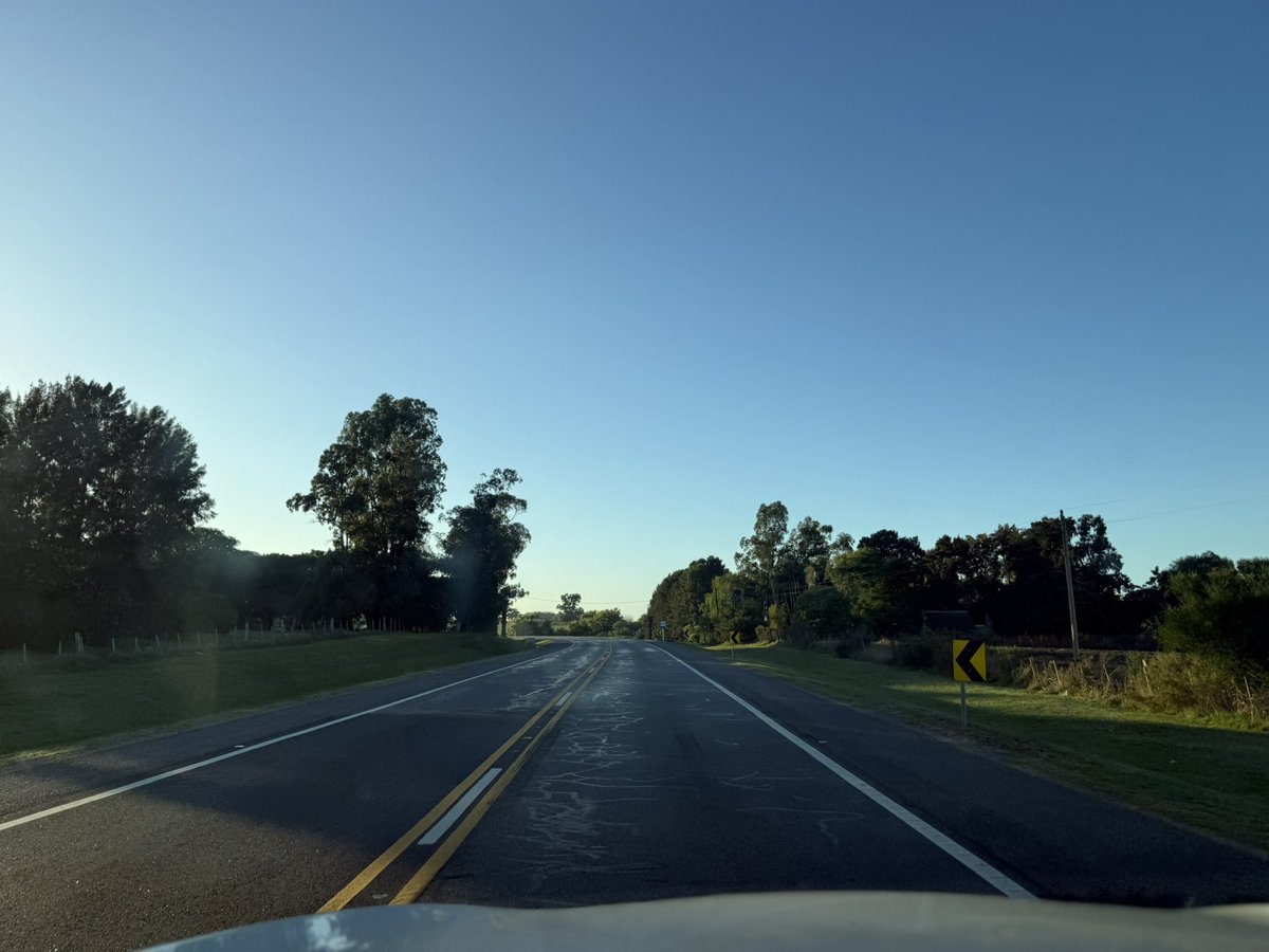 Carlos Daniel Camy tweet media