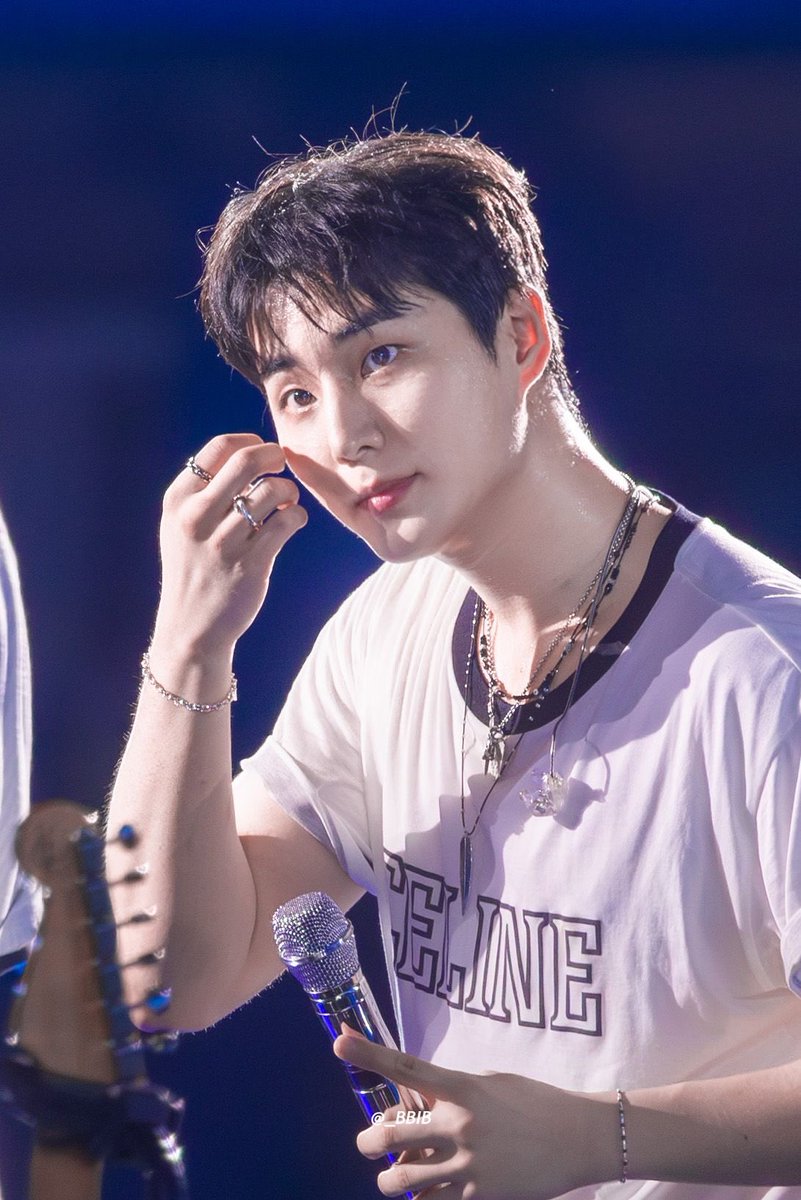 솜털 좀 봐 진짜 고양이인가